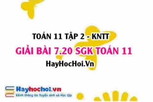 Bài 7.20 SGK Toán 11 Tập 2 Kết nối tri thức